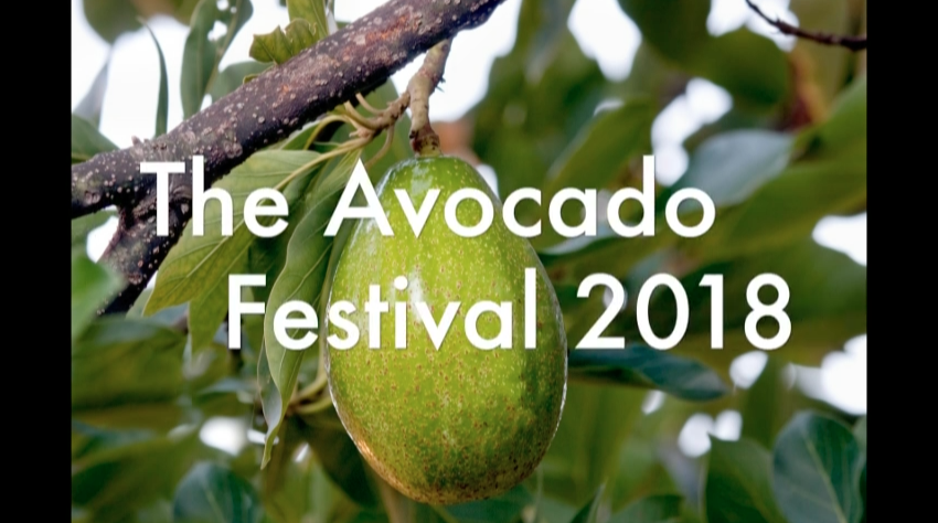 AvocadoFest