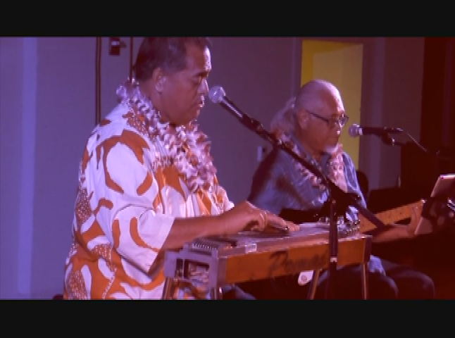 Hawaiian Steel Guitar