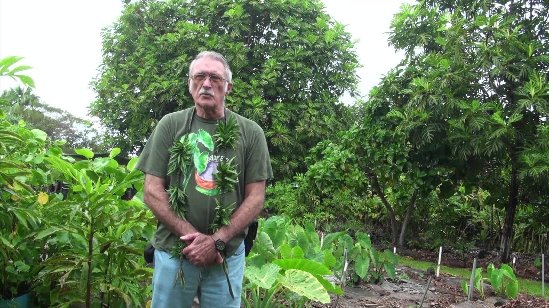 Amy Greenwell Ethnobotanical Garden's Open Day